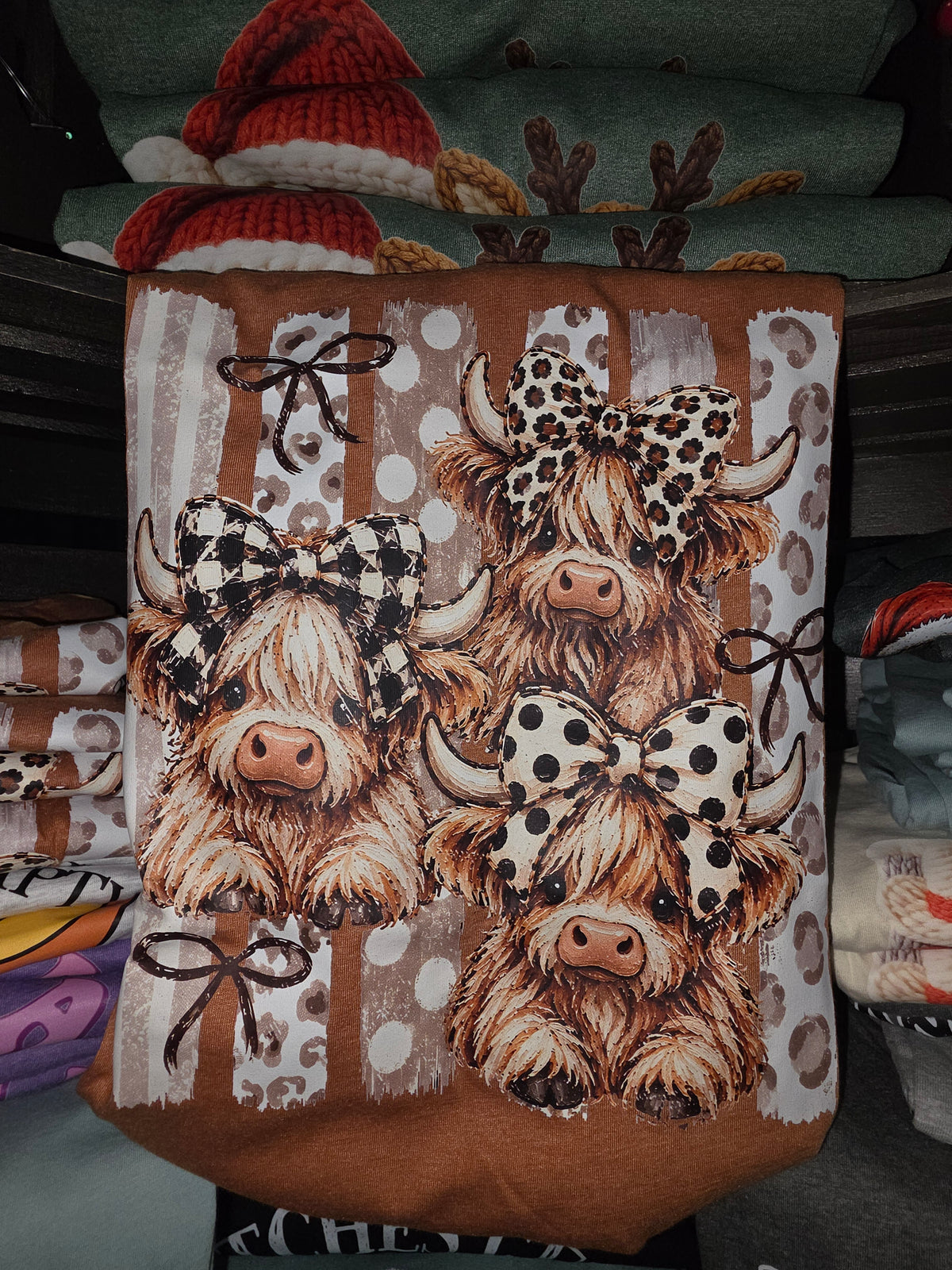 multiple Highland cows